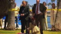 Click to watch 'If Looks Could Kill' (popup) CSI Miami